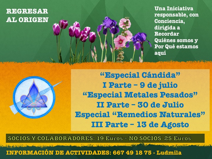 NUEVO PROGRAMA: CLASES ON LINE CON MARÍA ROSA MIRANDA.