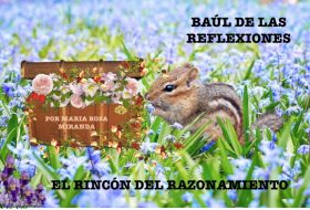 EL BAÚL DE LAS REFLEXIONES – 1º ENTREGA EN VÍDEO
