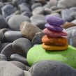 Pautas para Crecer